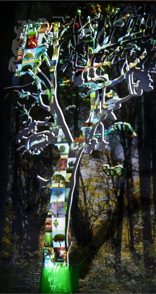 A single tree silhouette is composed of a mosaic of an array of small, colourful images of various types of trees in a collage. The images are projected onto a cutout shape of a tree and overlap in vibrant layers. The tree sits against a dark forest background with a white drop shadow which creates distance between the tree and the forest behind it. The base of the tree features a bright green grass wrapped around the trunk. 